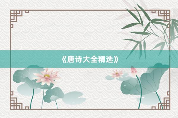 《唐诗大全精选》
