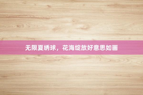无限夏绣球，花海绽放好意思如画