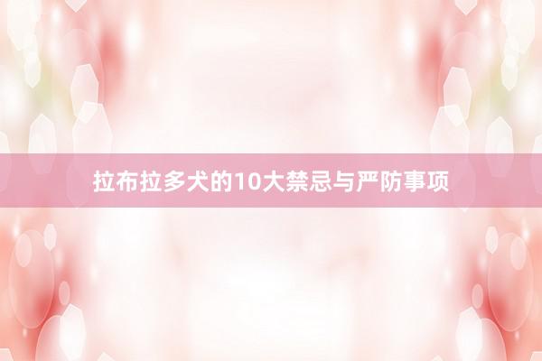 拉布拉多犬的10大禁忌与严防事项